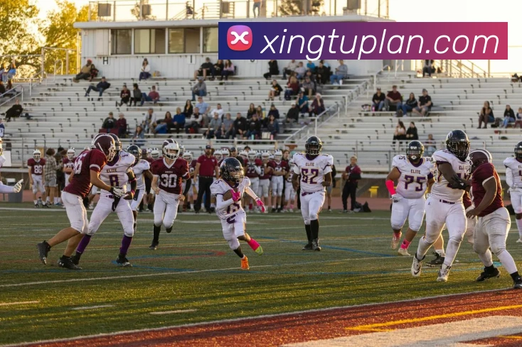 世界杯官网登录app服务体系